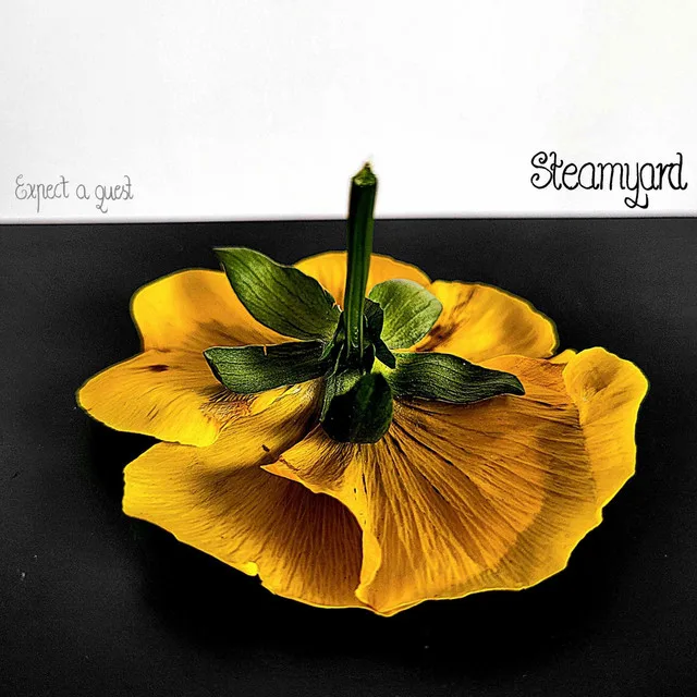 Expect a Guest cover