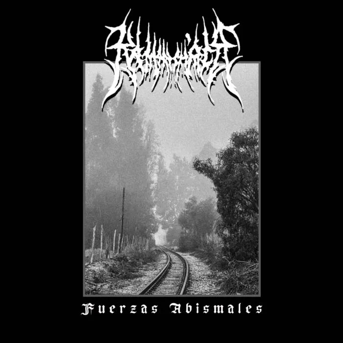 Fuerzas abismales cover