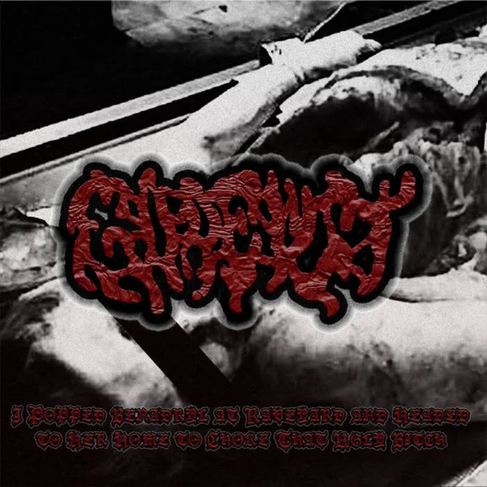 I Popped Benadryl at Raveyard and Headed to Her Home to Choke That Ugly Bitch cover