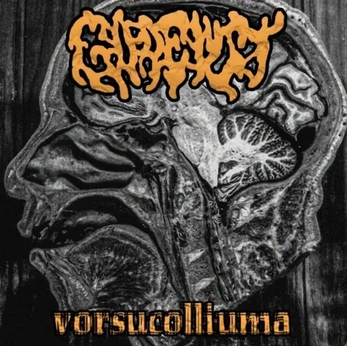 Vorsucolliuma cover
