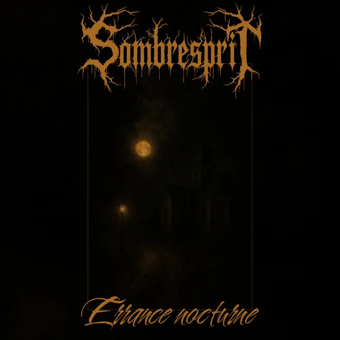 Errance nocturne cover