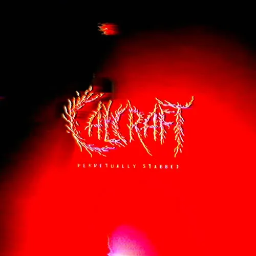 Perpetually Stabbed cover