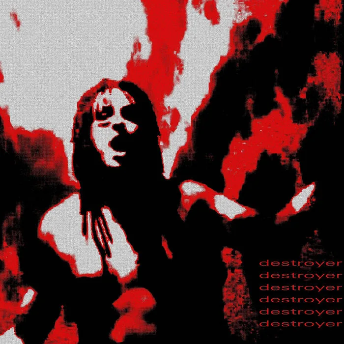 Destroyer cover