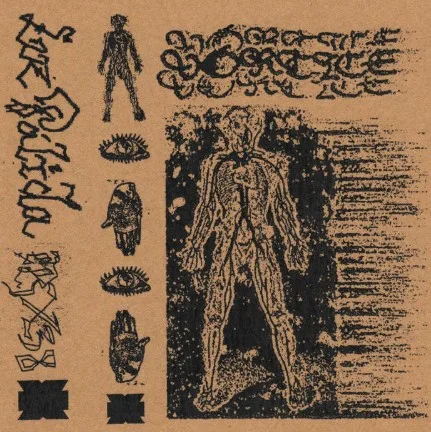 Luz Pàlida cover