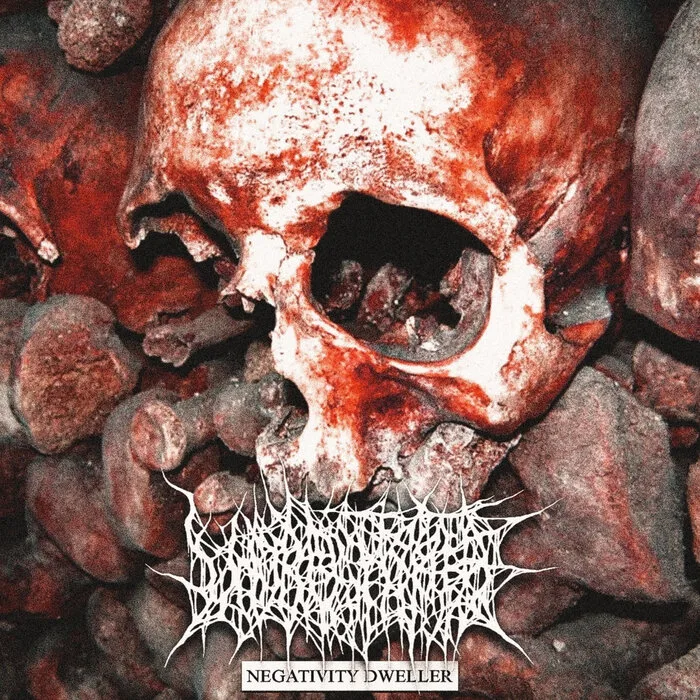 Negativity Dweller cover
