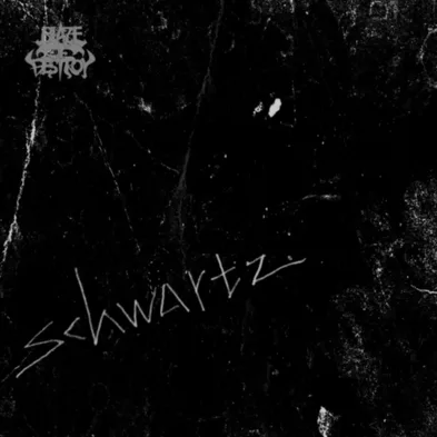 Schwartz cover