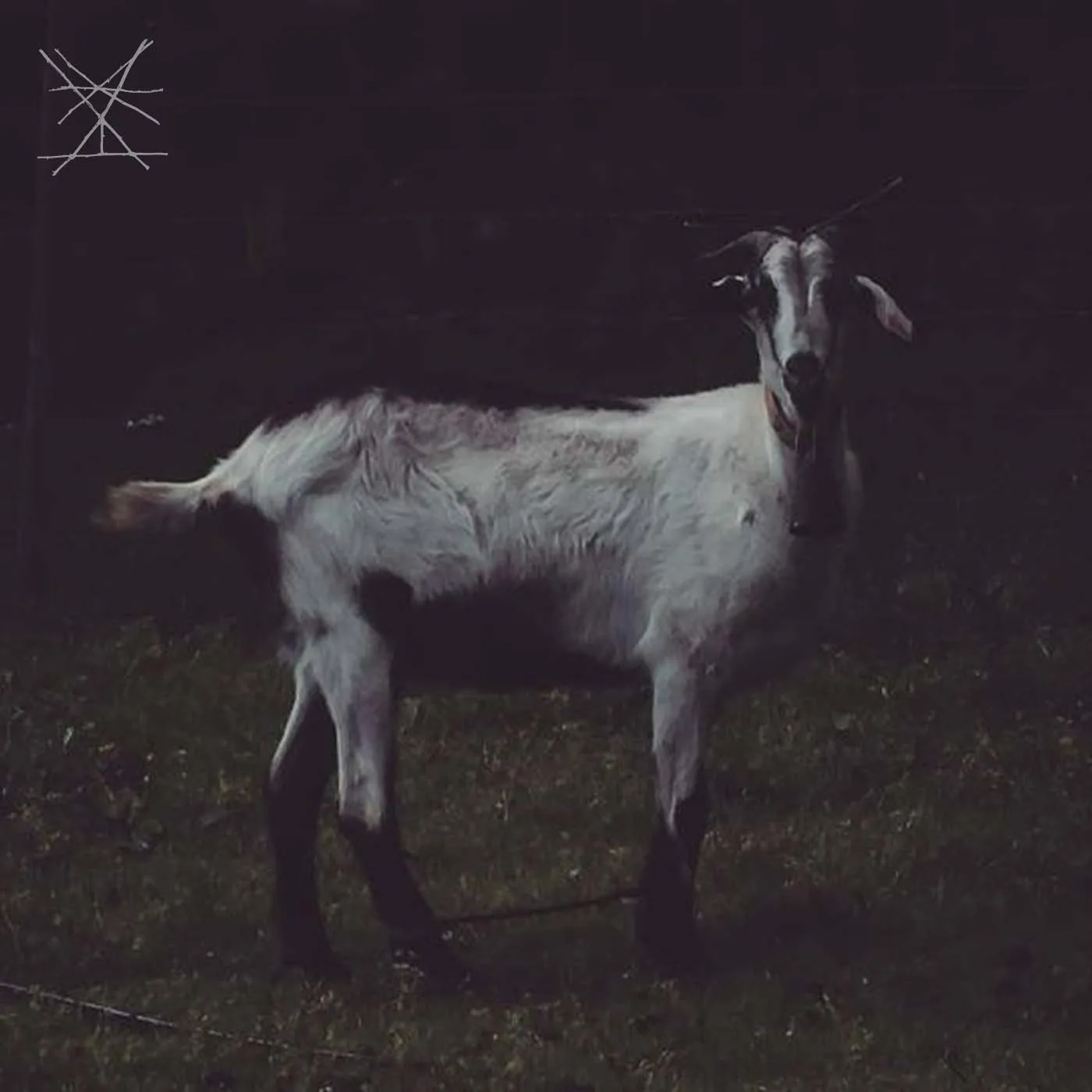 King of the Beasts cover