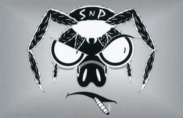 Spiders n Pigs cover