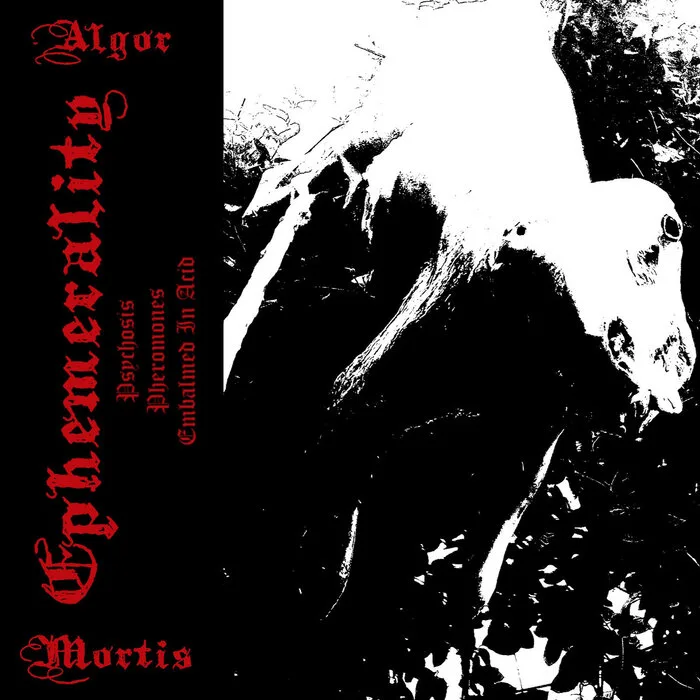 Algor Mortis cover
