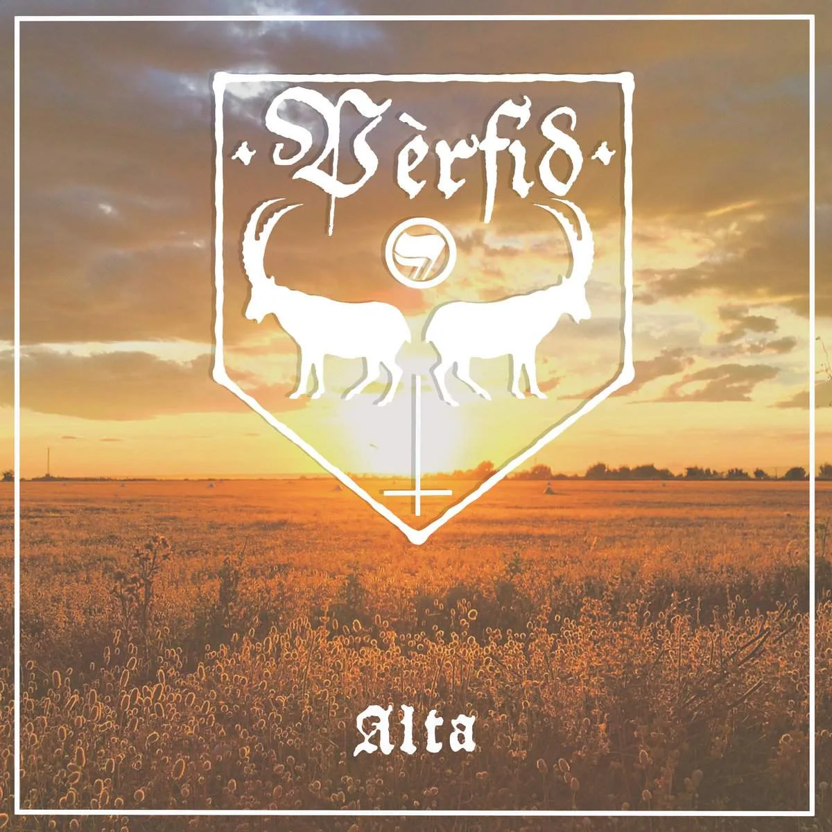 Alta cover