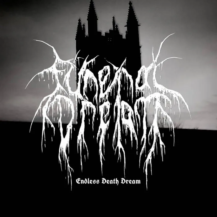Endless Death Dream cover