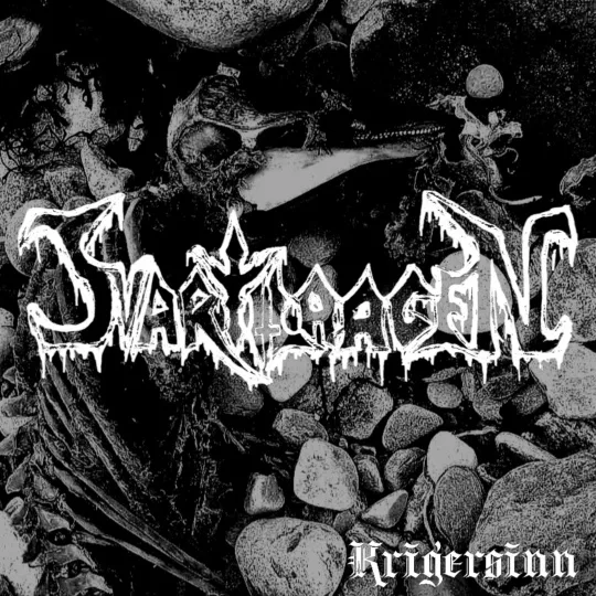 Krigersinn cover