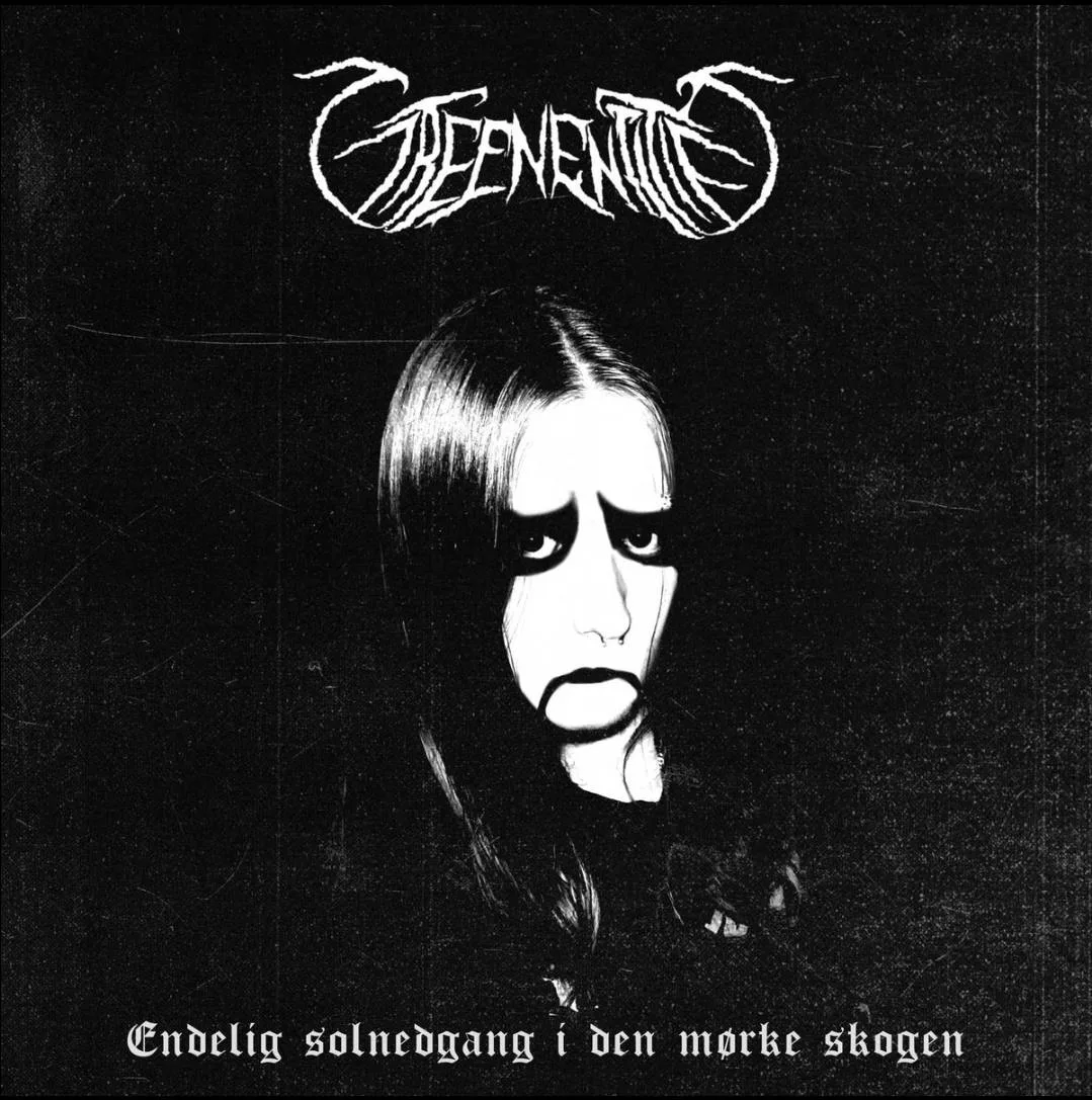 Endelig solnedgang i den mørke skogen cover