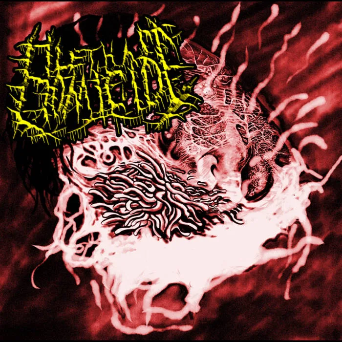 Lethal Homicide cover