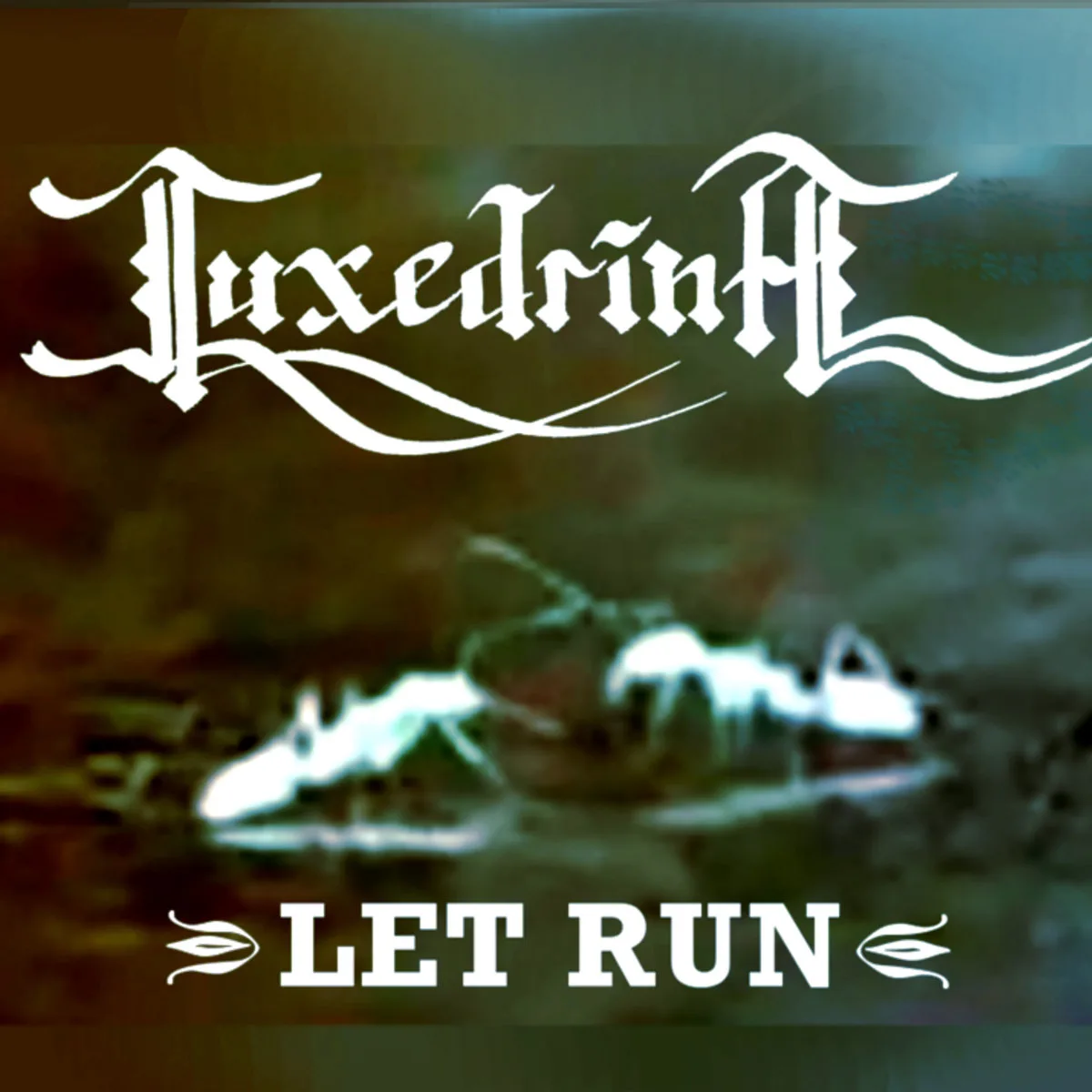 Let Run cover