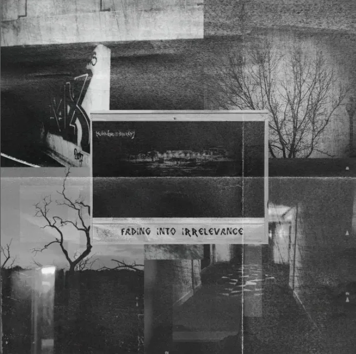 Fading into Irrelevance cover