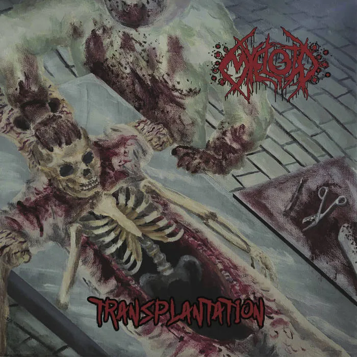 Transplantation cover