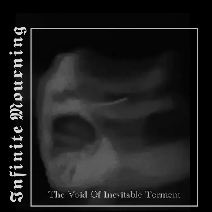 The Void of Inevitable Torment cover