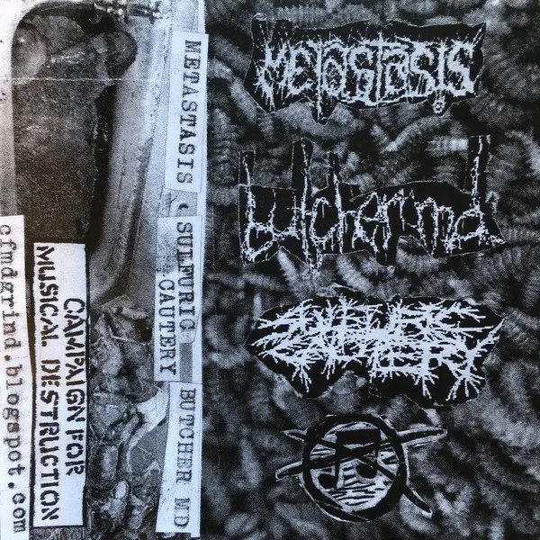 Butcher M.D. / Metastasis / Sulfuric Cautery cover