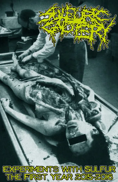 Experiments With Sulfur ★ The First Year 2015-2016 cover