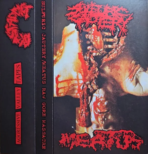Raw Gore Massacre cover