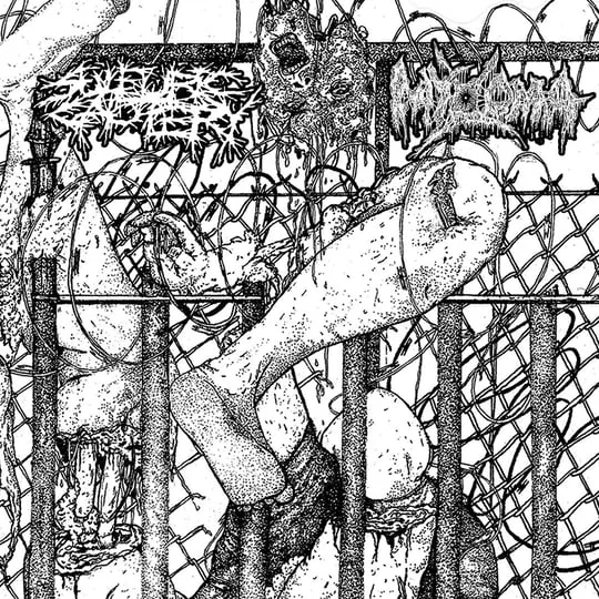 Sulfuric Cautery / Myxoma cover