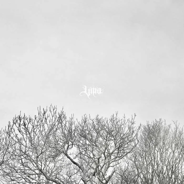 Neither Dreaming nor Dying cover