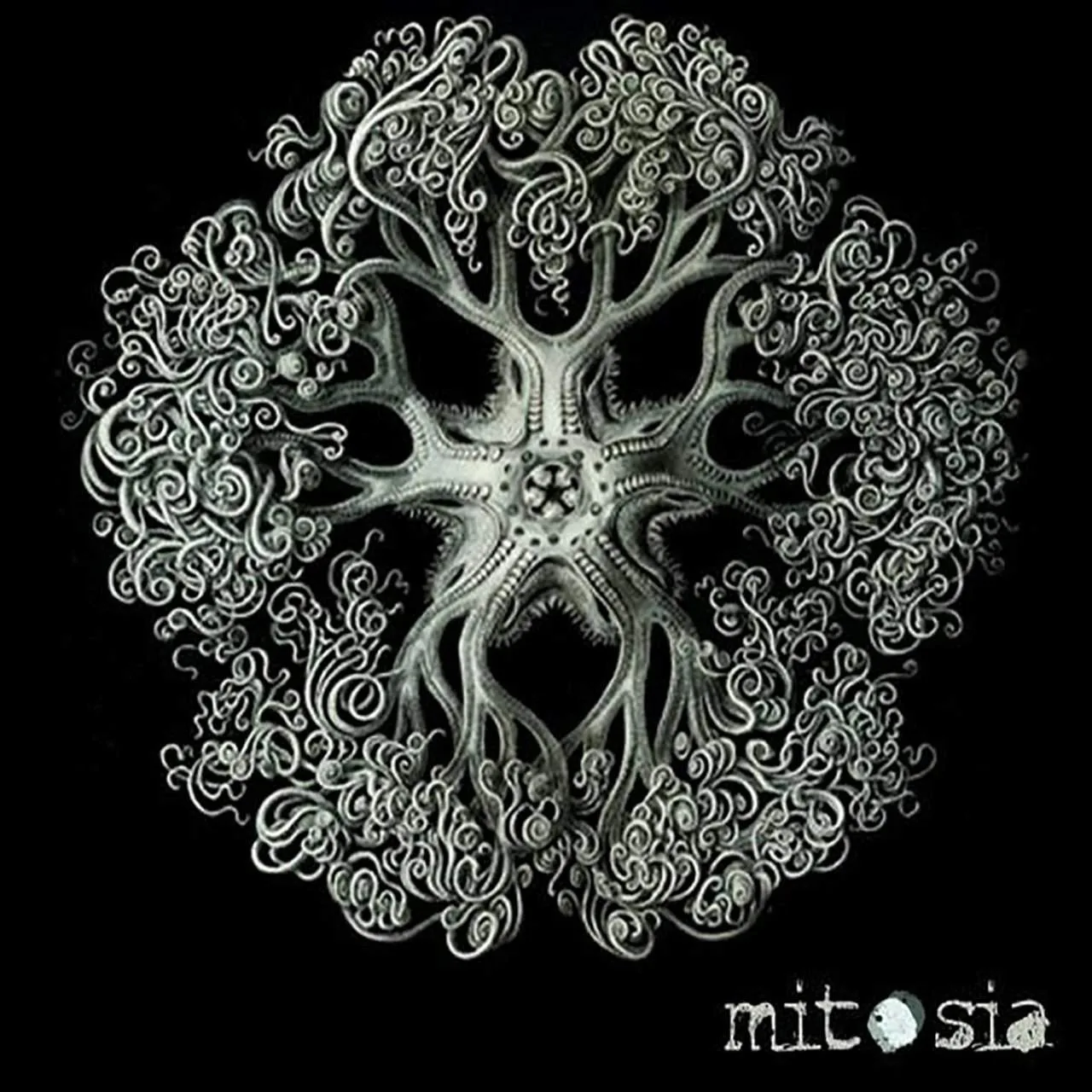Mitosia-meiosia cover
