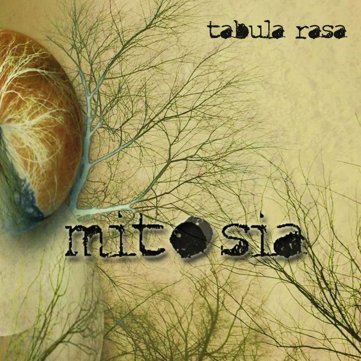 Tabula rasa cover