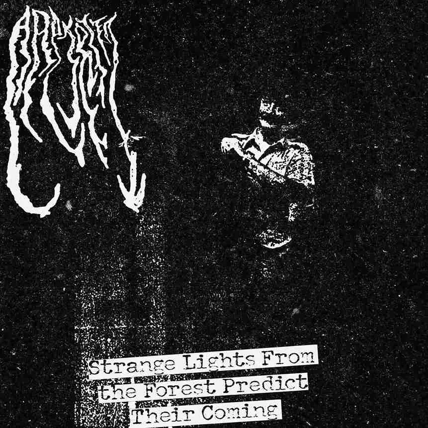 Strange Lights from the Forest Predict Their Coming cover