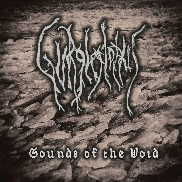 Sounds of the Void cover