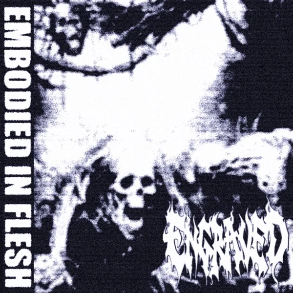 Embodied in Flesh cover