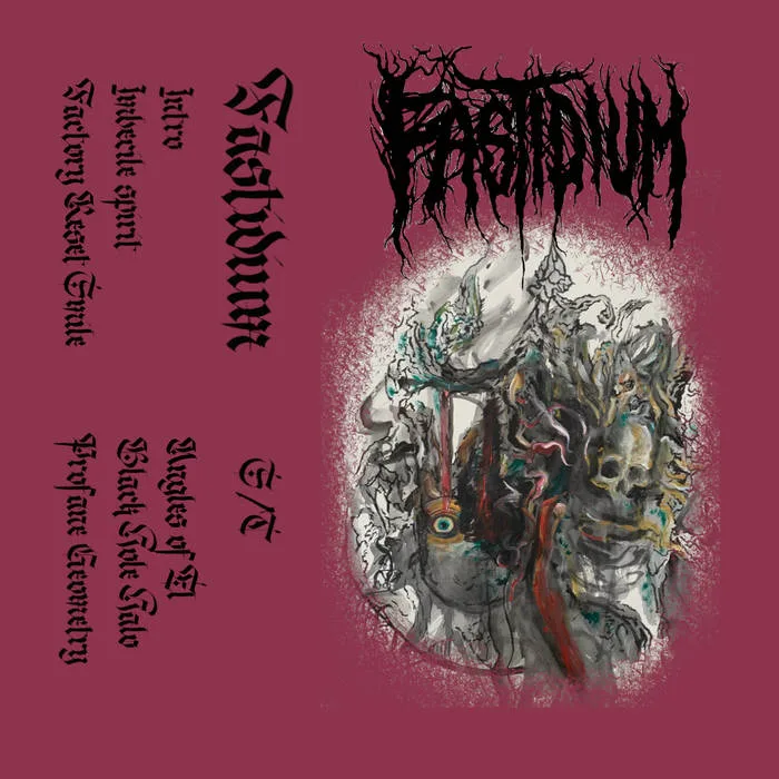 Fastidium cover