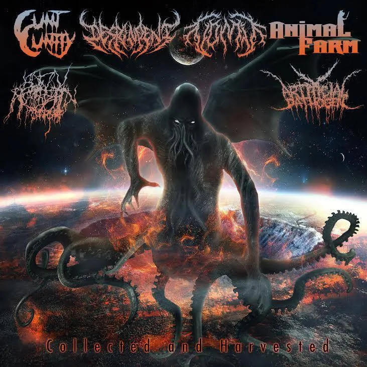 Collected and Harvested cover