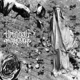 Madness Blooms cover