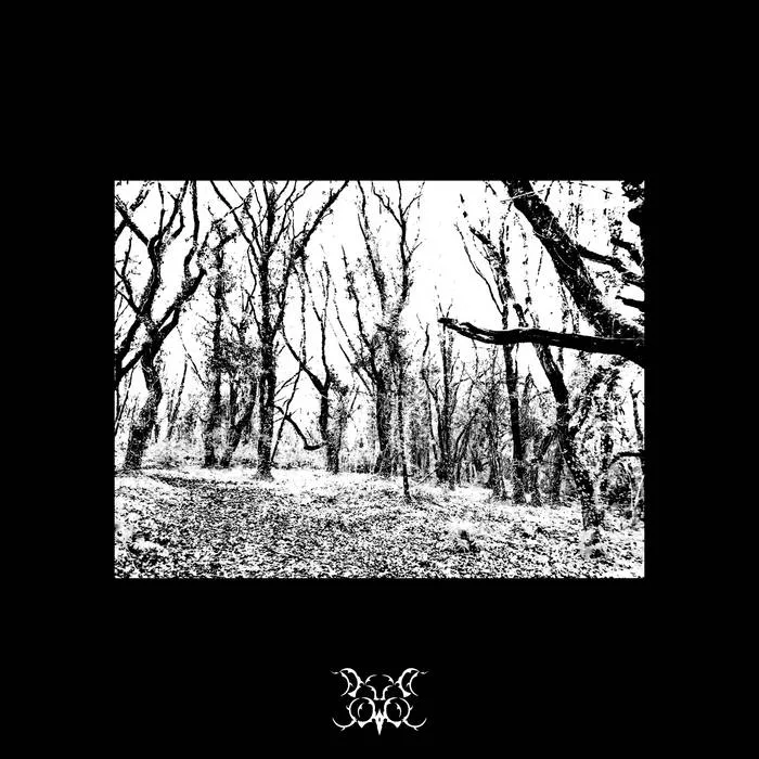 The Endless Shadow of Despicable Power cover