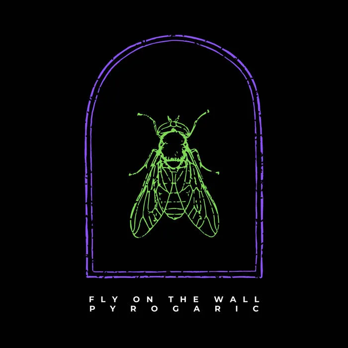 Fly on the Wall cover