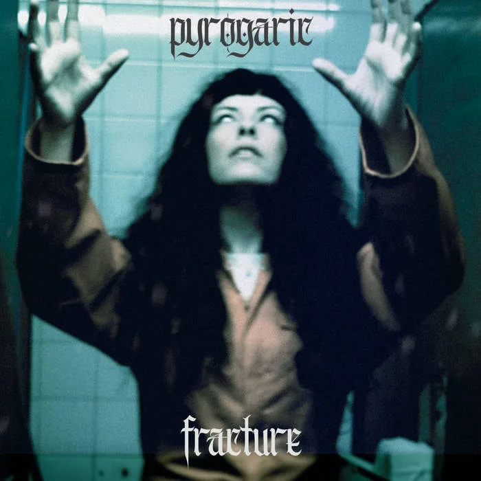 Fracture cover