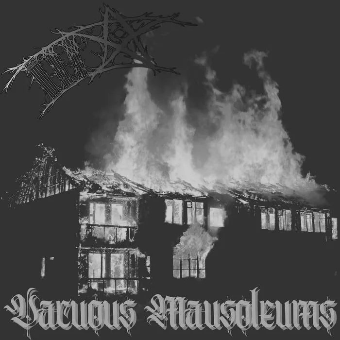 Vacuous Mausoleums cover