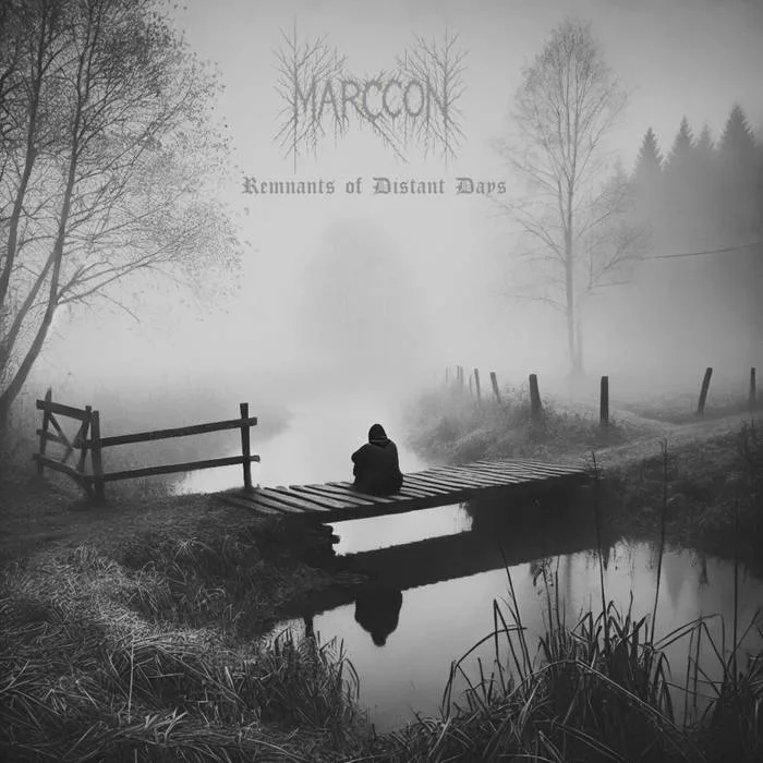 Remnants of Distant Days cover