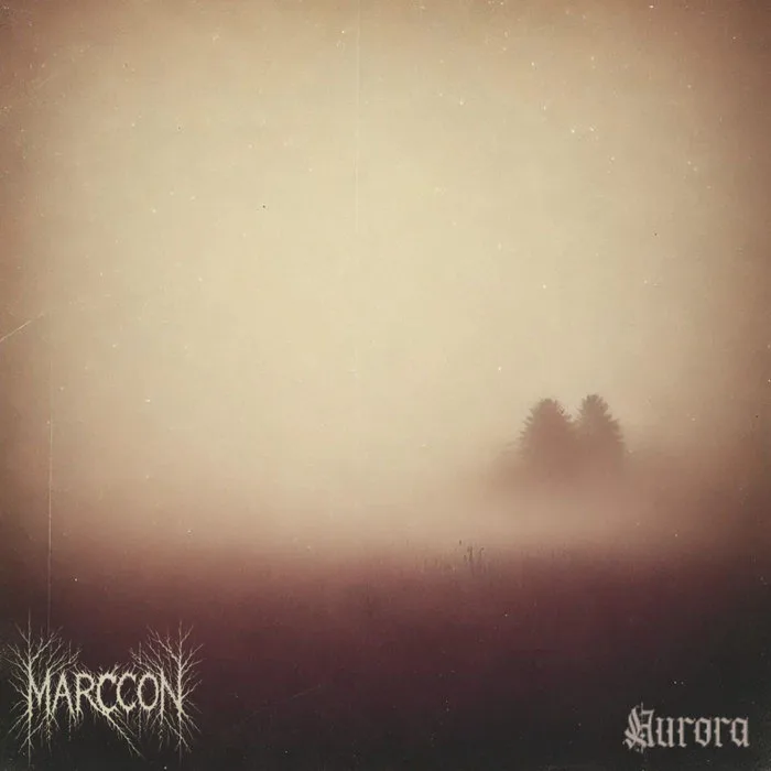 Aurora cover