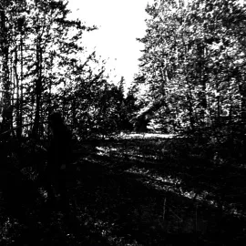 A Tale About Dying Soul cover