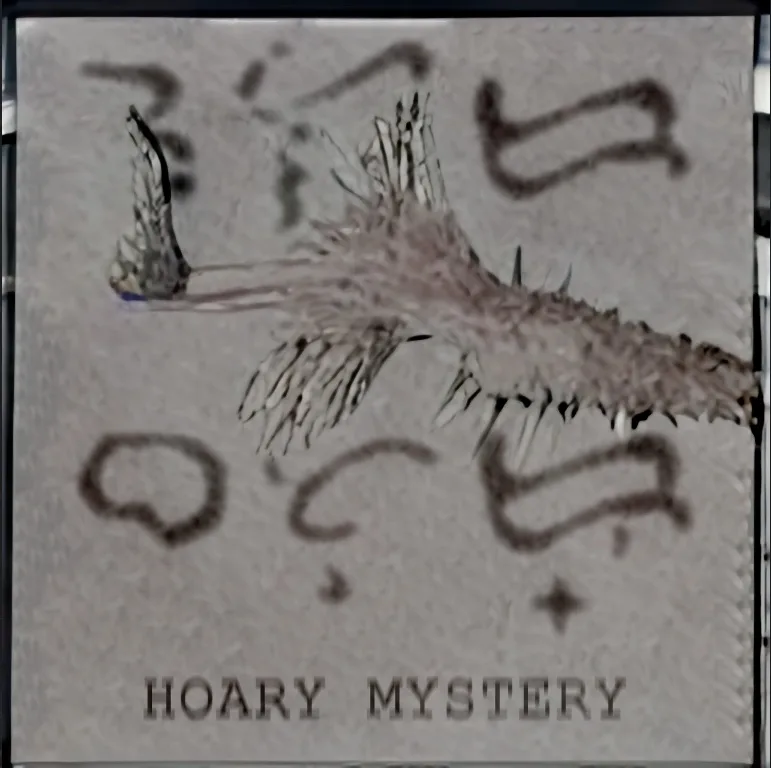 Hoary Mystery cover