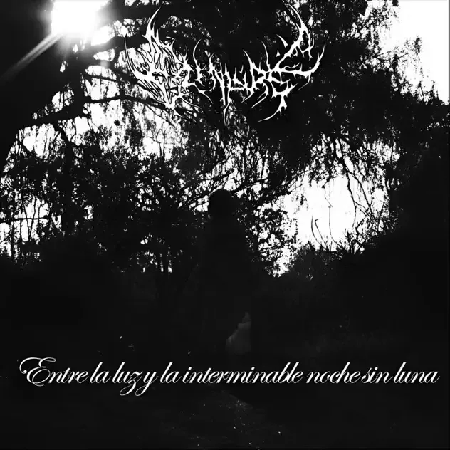 Entre la luz y la interminable noche sin luna cover