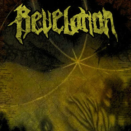 Crucible cover