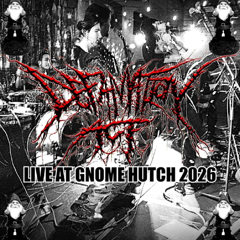 Live at Gnome Hutch 2026 cover