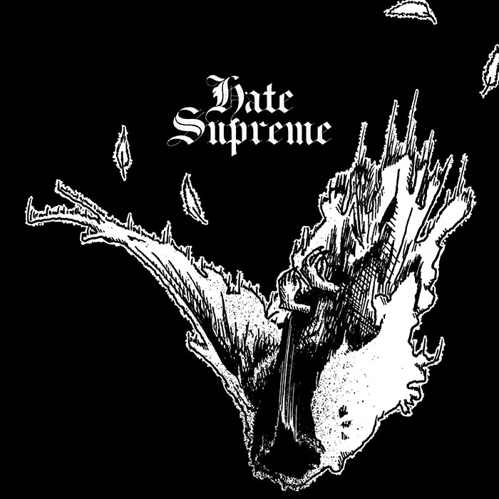 Hate Supreme cover