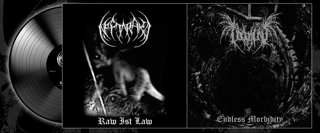 Raw Ist Law / Endless Morbidity cover