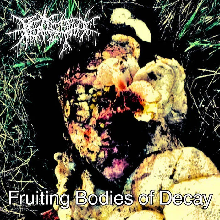 Fruiting Bodies of Decay