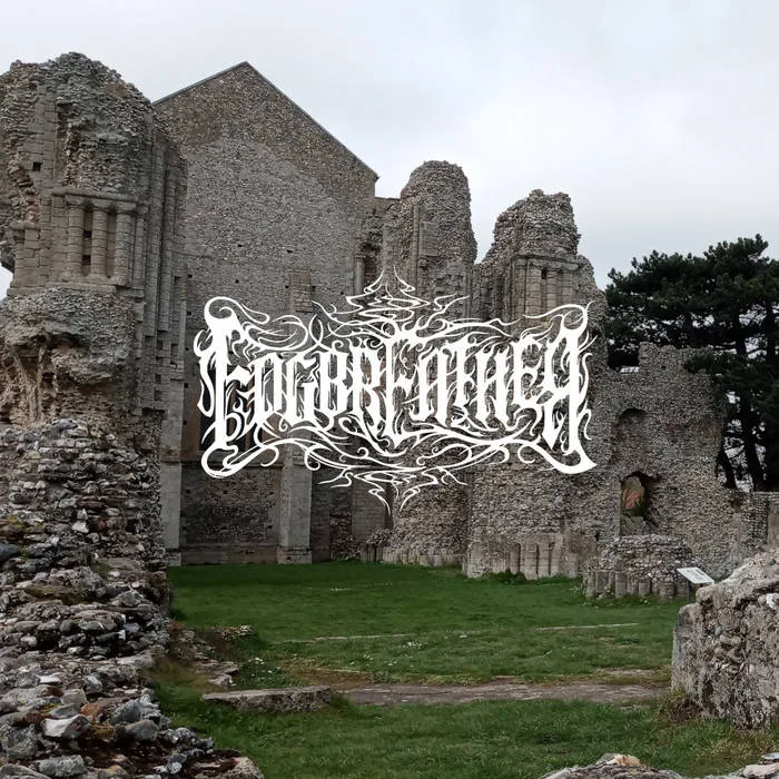 ...and Every Stone Remembers cover